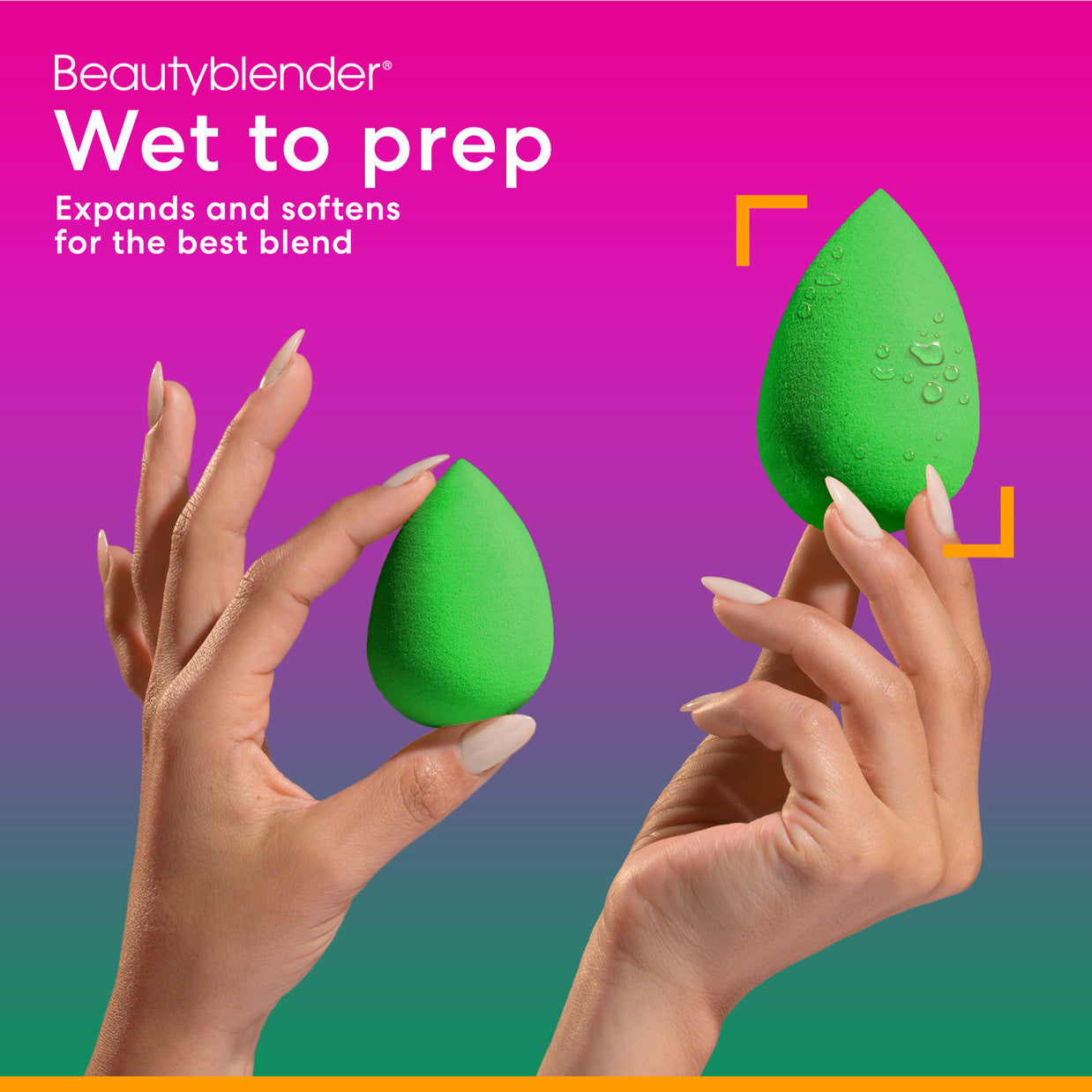 Besties Bio Pure 6-Piece Value Bundle: Beauty Sponge