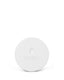 Solid Unscented 1oz